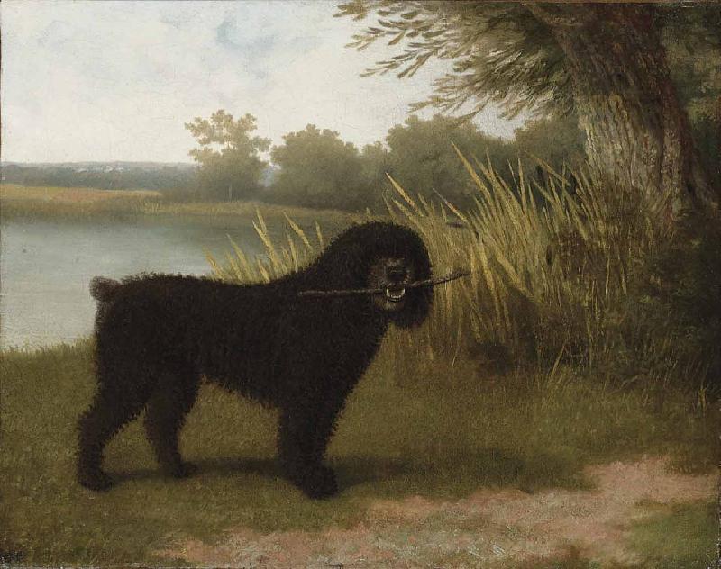 Jacques-Laurent Agasse A black water dog with a stick by a lake Sweden oil painting art